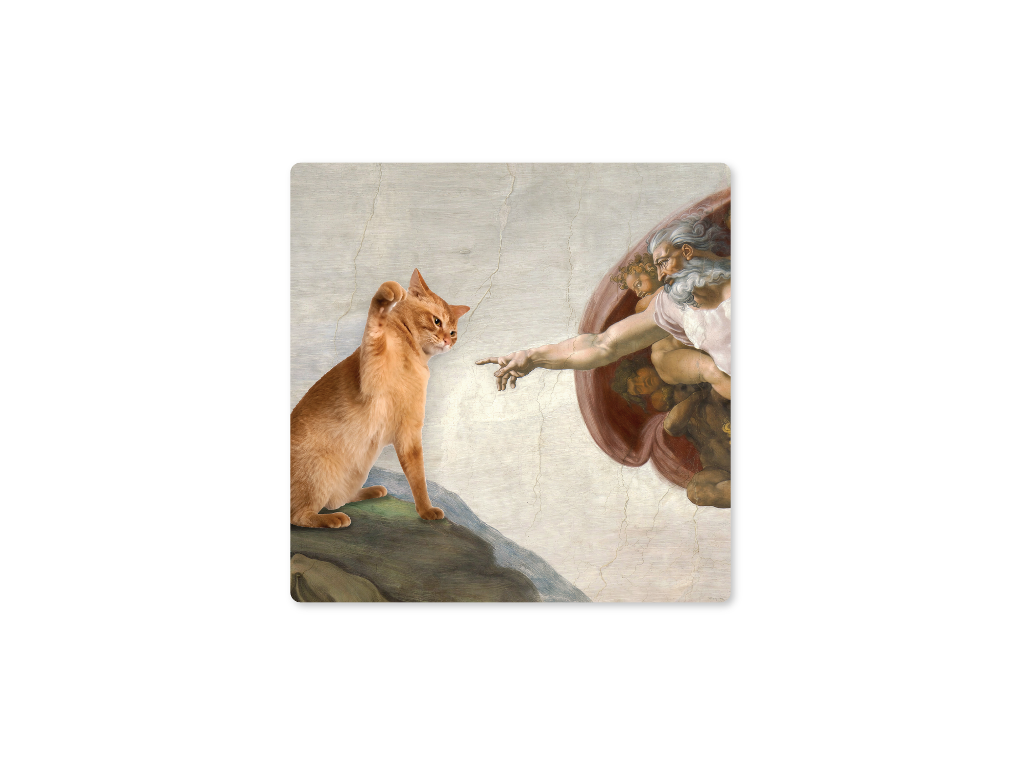 Creation of Cat 3" Funny Sticker