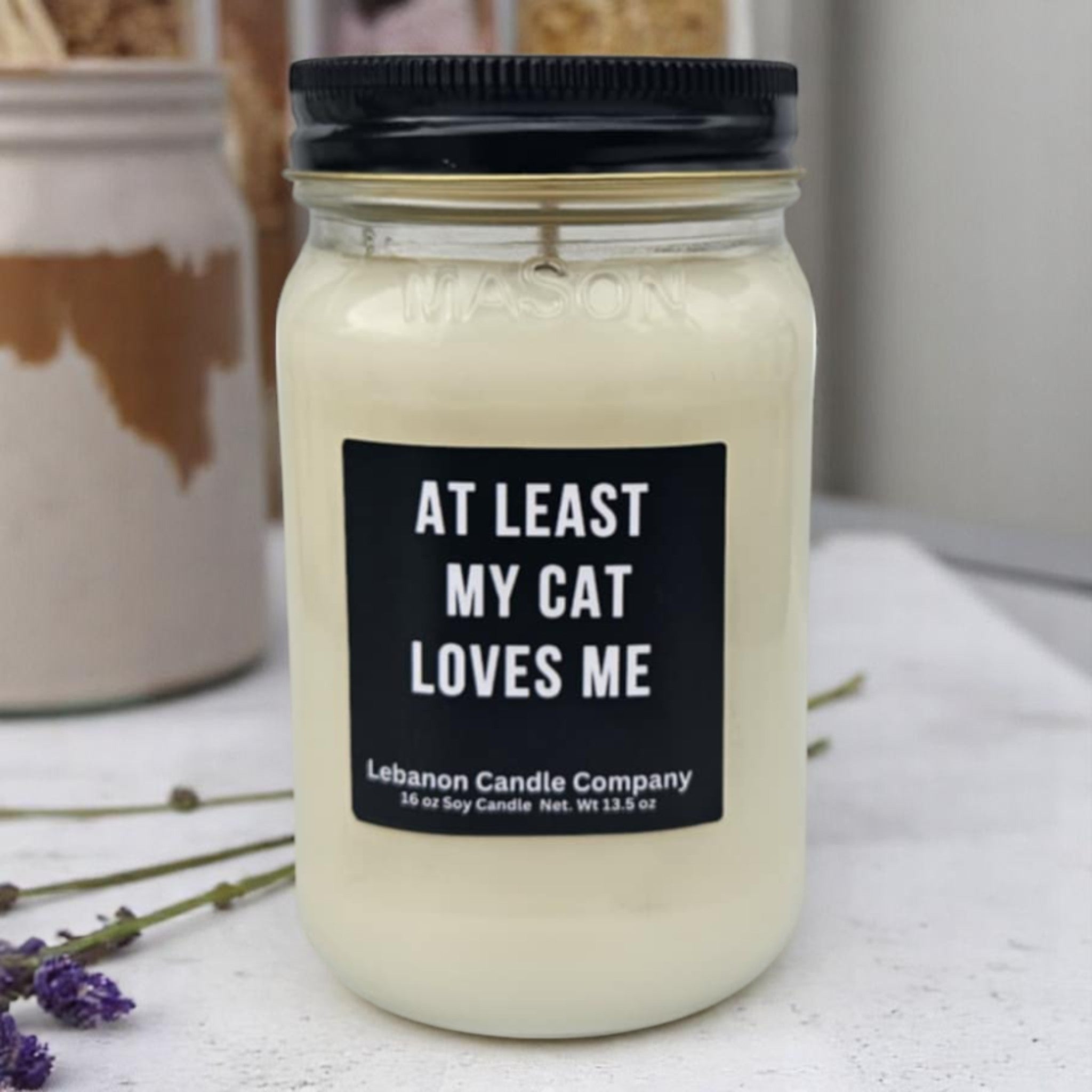 At Least My Cat Loves Me Funny Candle