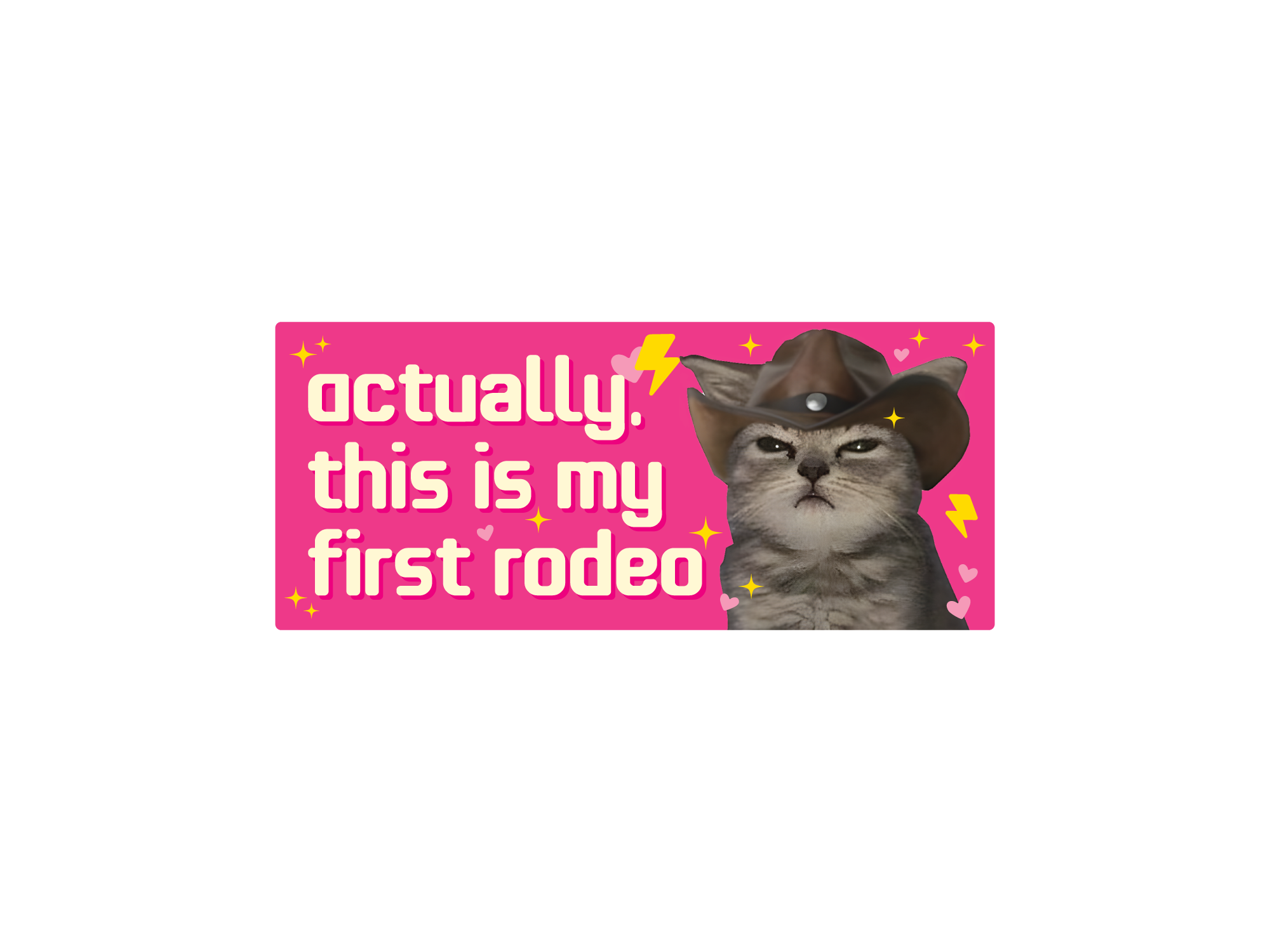 This is My First Rodeo Cat 7" Funny Bumper Sticker