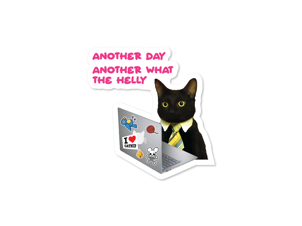 Business Cat Collection, set of 6